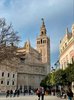 SPF-Woche der G4c in Andalusien 