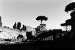 Reise nach Rom, Analoge Fotografie von Celine Stäubli