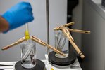 Bier, H-NMR und Farben – Chemie-EF-Tage, Foto: Leo Burkart, G6d (Presseteam)