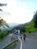 Strasse vom Berg nach Schiers