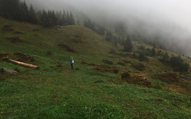 Milch und Naturschutz in Adelboden