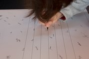 Checkübergabe an die Glückskette, Bild: Leo Burkart, Presseteam