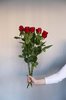 Be my Valentine, Marina Joss (G5c)