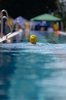 KUSDUUR-Triathlon , Bilder: Leo Burkart (G 6d)