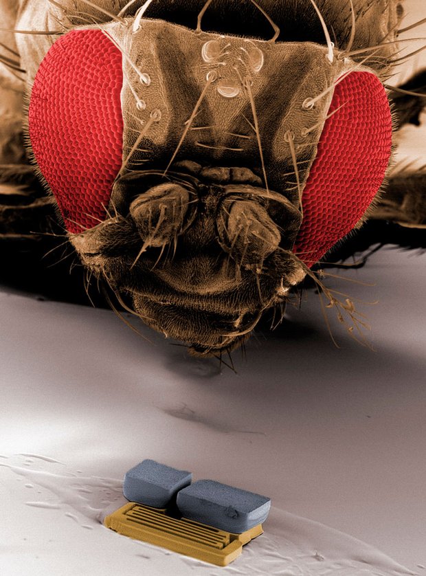 Nanoroboter an der KUS