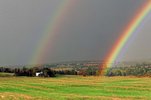Regenbogen