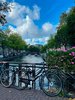 Venedig des Nordens: Gracht und Blumen