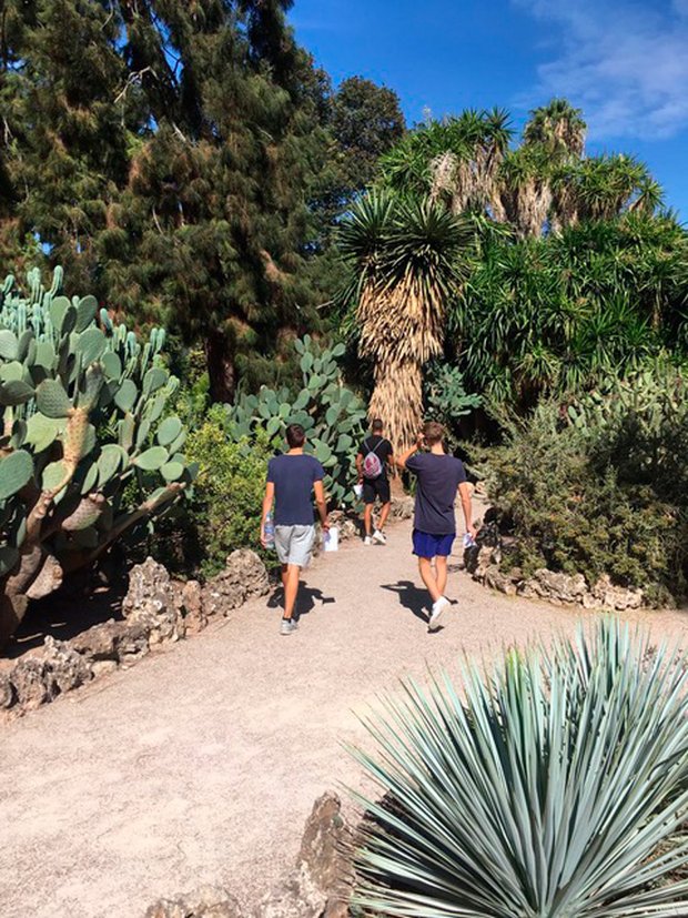 Botanischer Garten