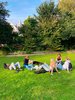 Venedig des Nordens: Vondelpark