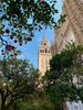 SPF-Woche der G4c in Andalusien 