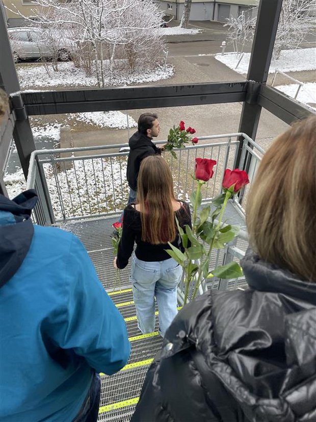 Eine Rose am Valentinstag