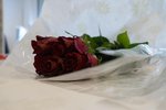 Valentinstag an der KUS, Schülerfotos: Marina Joss (G6a) und Leandra Brandenberg (G5c) 