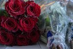 Be my Valentine, Marina Joss (G5c)