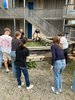 FoKUS-Tag der Klasse G3k