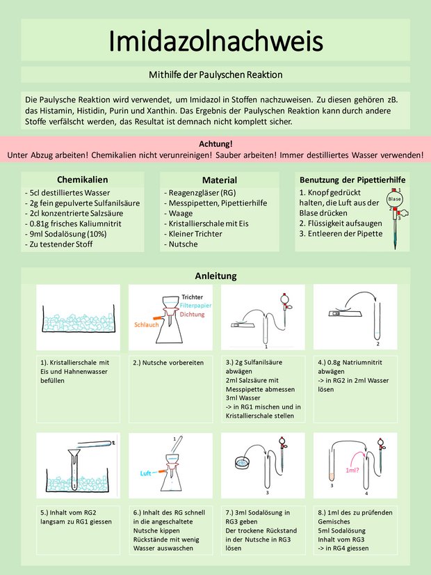 Plakat Paulysche Reaktion, Jana Müntener und Janine Wagnières
